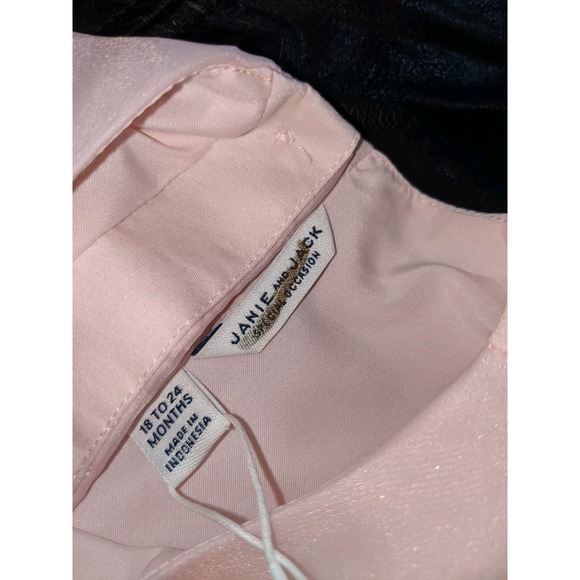 Janie And Jack Dress 18-24 Months Special Occasion Pink Organza Flower - Picture 4 of 16